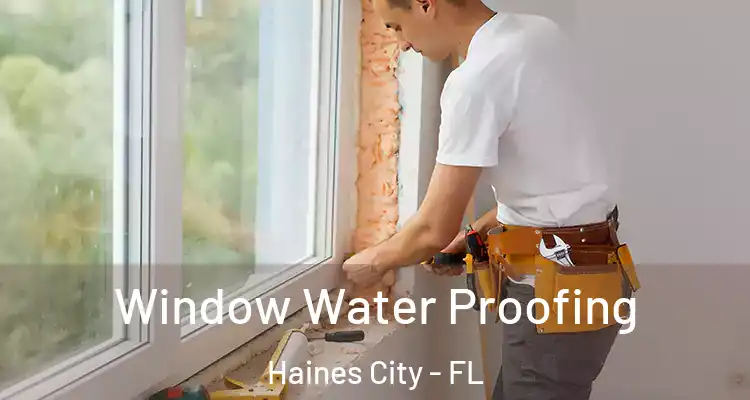 Window Water Proofing Haines City - FL