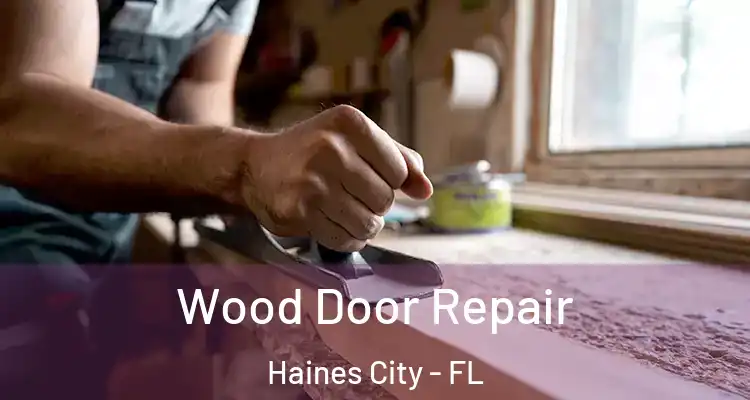 Wood Door Repair Haines City - FL